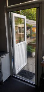 WhatsApp Image 2022-08-01 at 9.32.59 PM